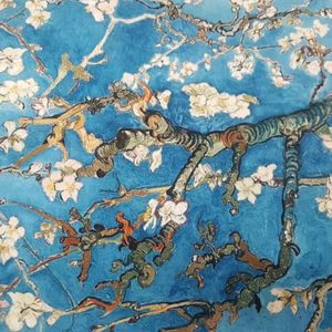 Amandiers Velours Palatine
