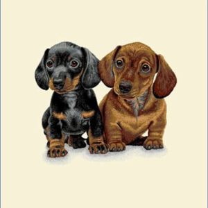 Carré de tissu deux chiens