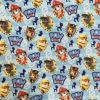 Tissu Paw Patrol 1
