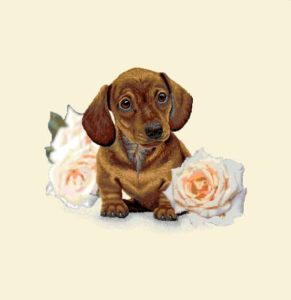Carré de tissu deux chiens