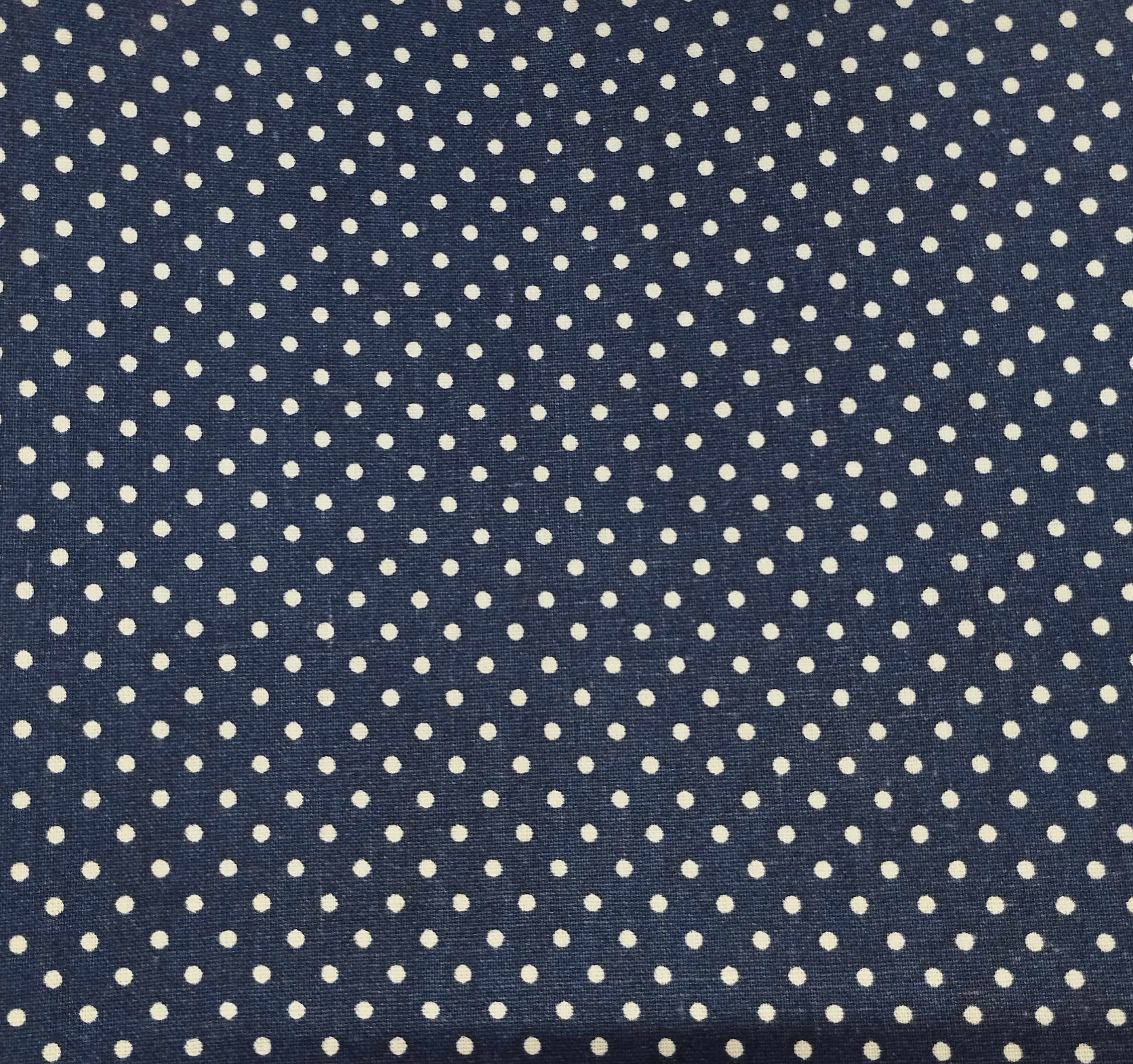 Tissu coton imprimé points bleu marine
